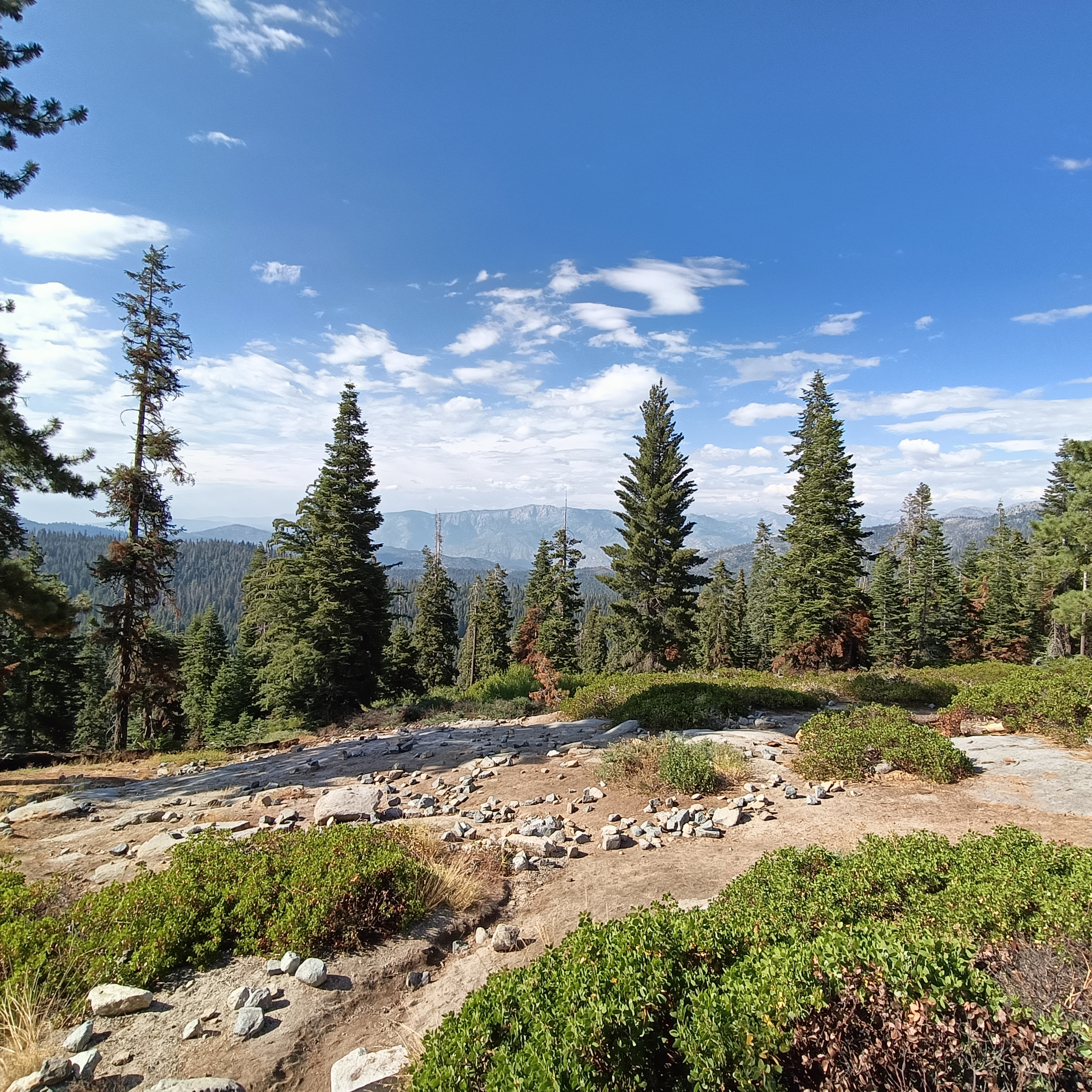 Sequioa Nationalpark